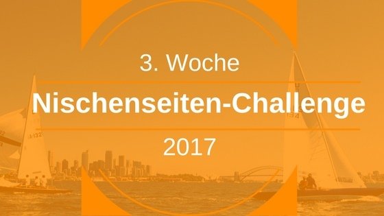 Nischenseiten-Challenge 2017 – Woche 3: Nischenseiten-Aufbau Teil 2